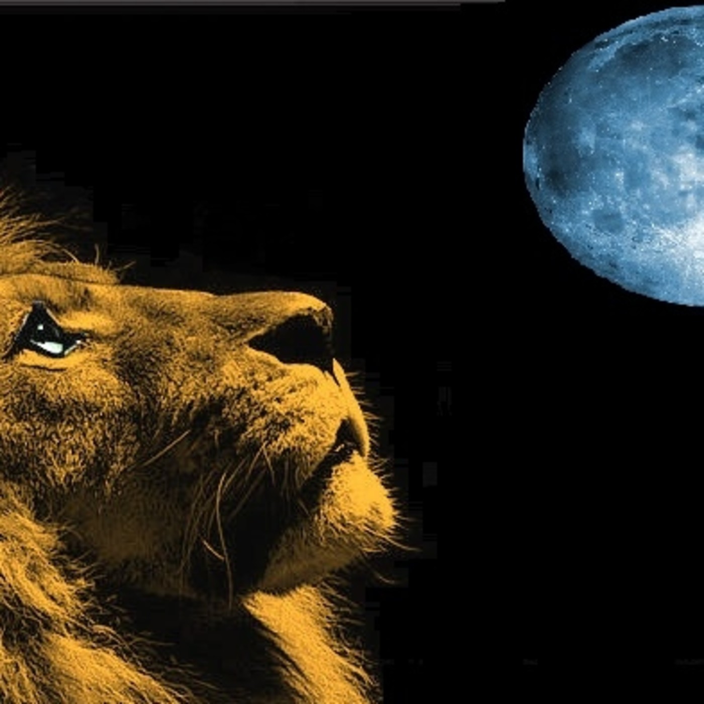 Meditaciones de Luna Llena