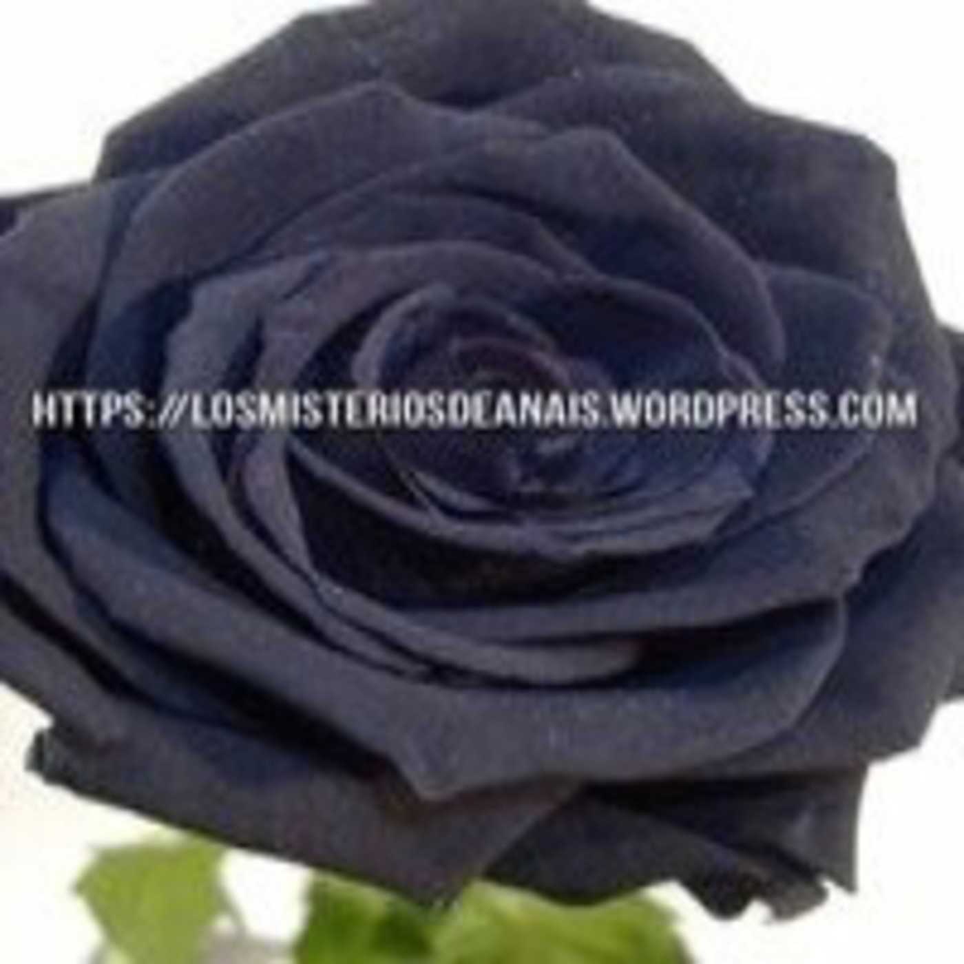 LOS MISTERIOS DE ANAIS