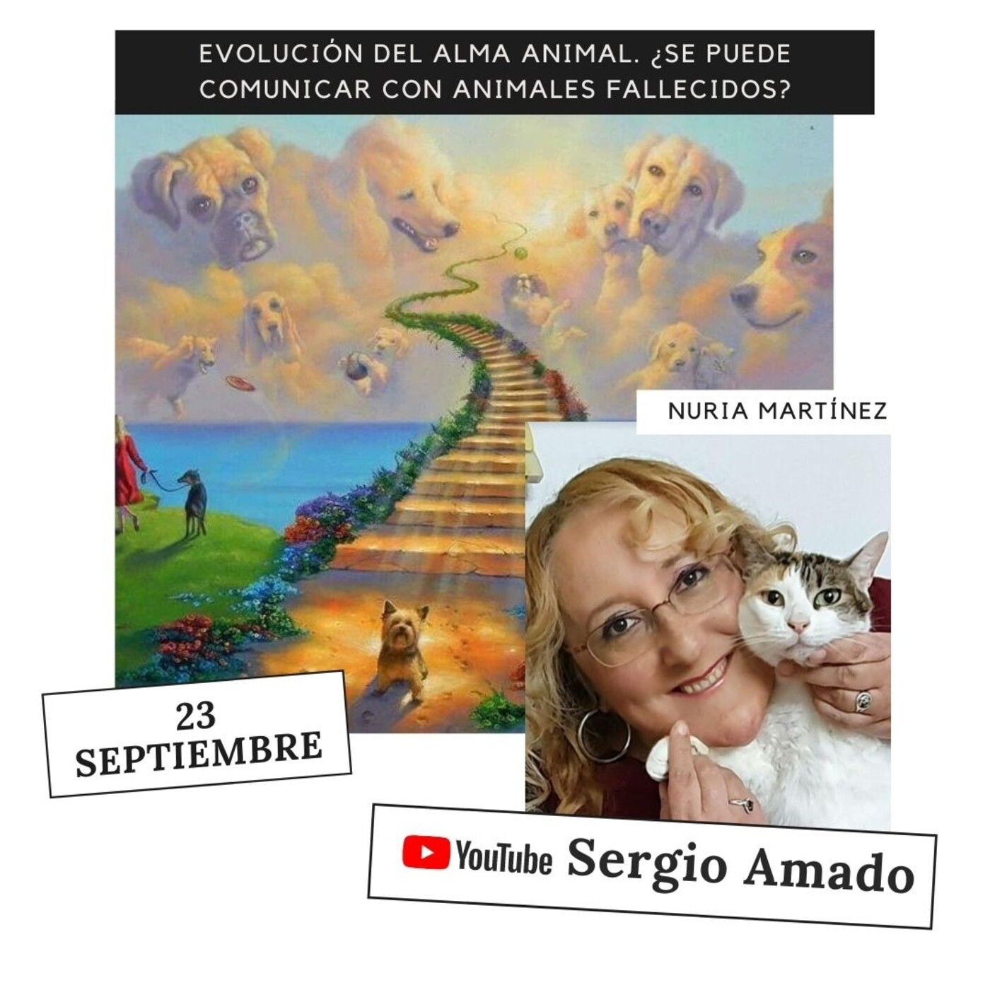 Sergio Amado