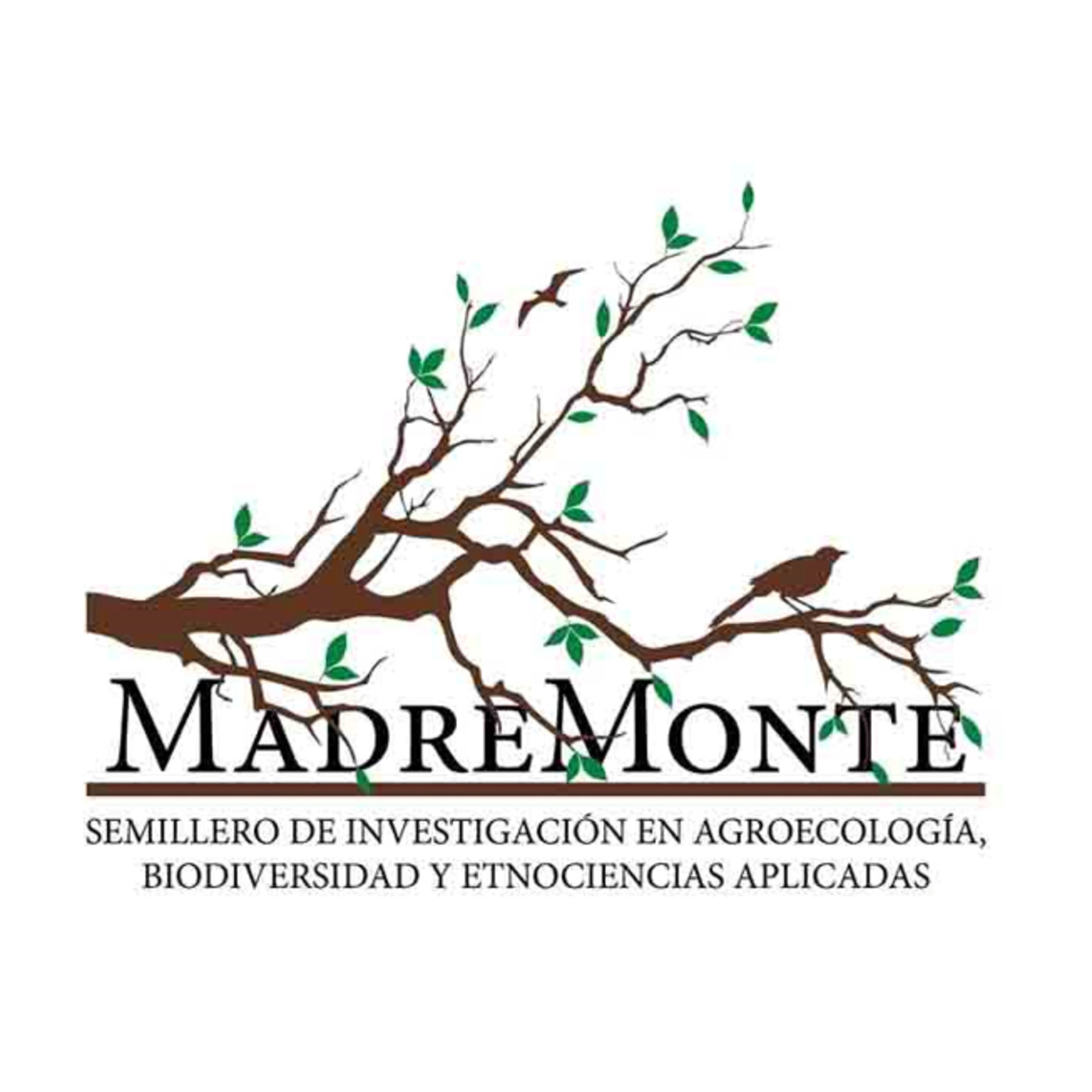 LA MADREMONTE
