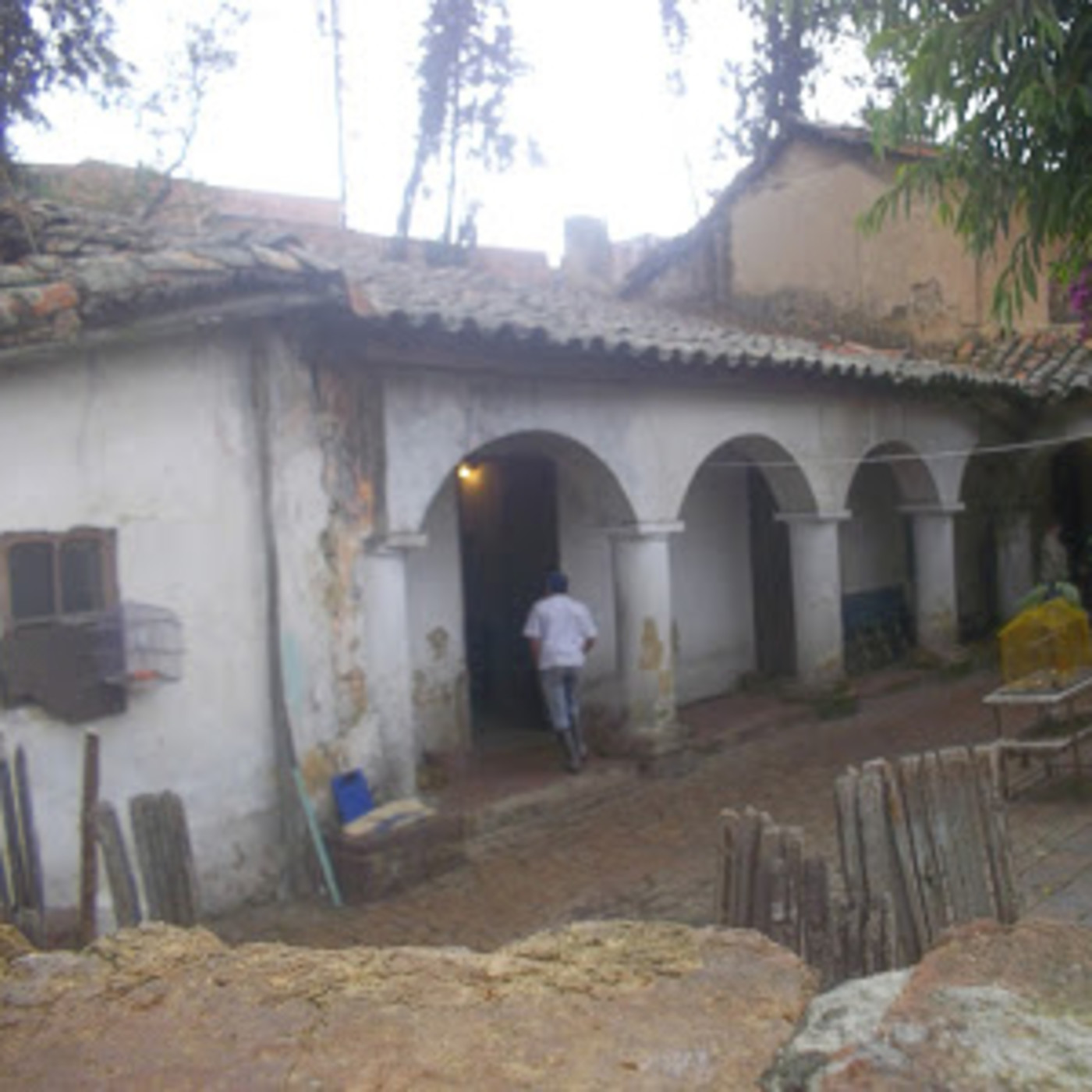 Amanecer Comunitario