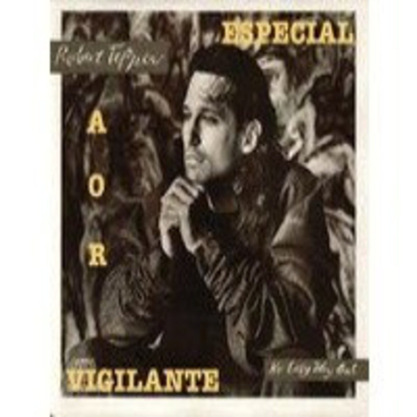 Vigilante special Robert Tepper (13-12-2013) episode artwork