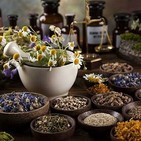Adaptógenos contra el estrés y la fatiga: Ashwaganda, Ginseng, Maca, Rhodiola y Reishi
