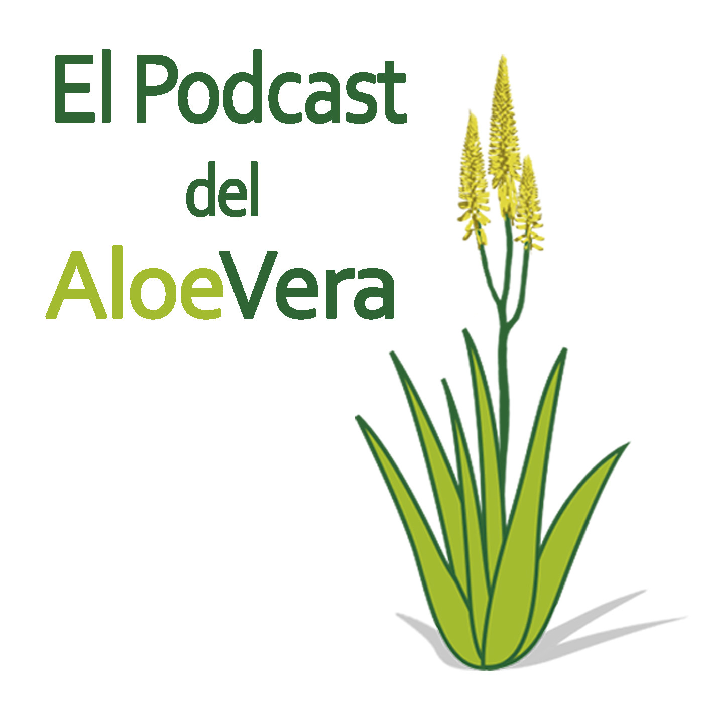 El Podcast del Aloe Vera