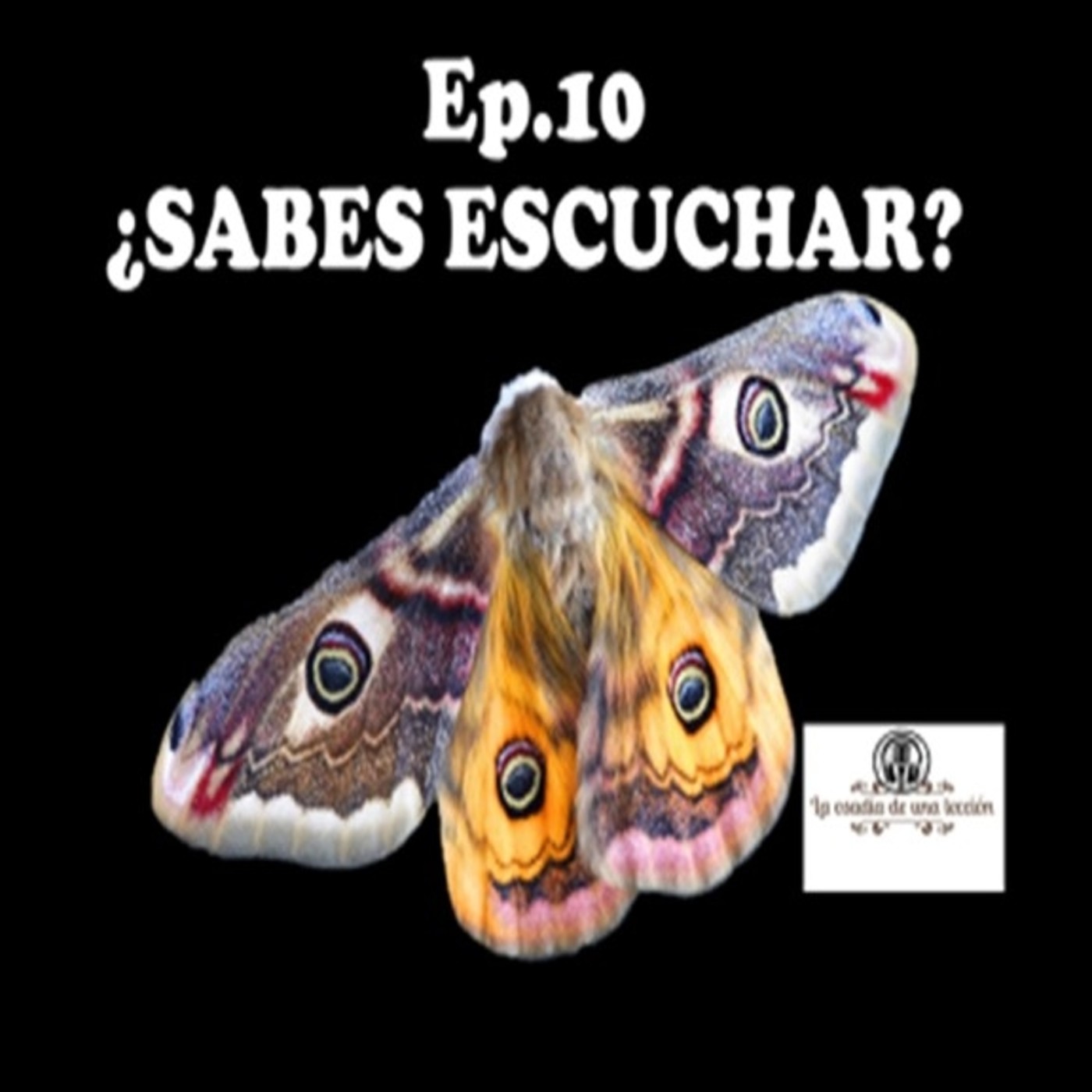 LA OSADIA DE UNA LECCION