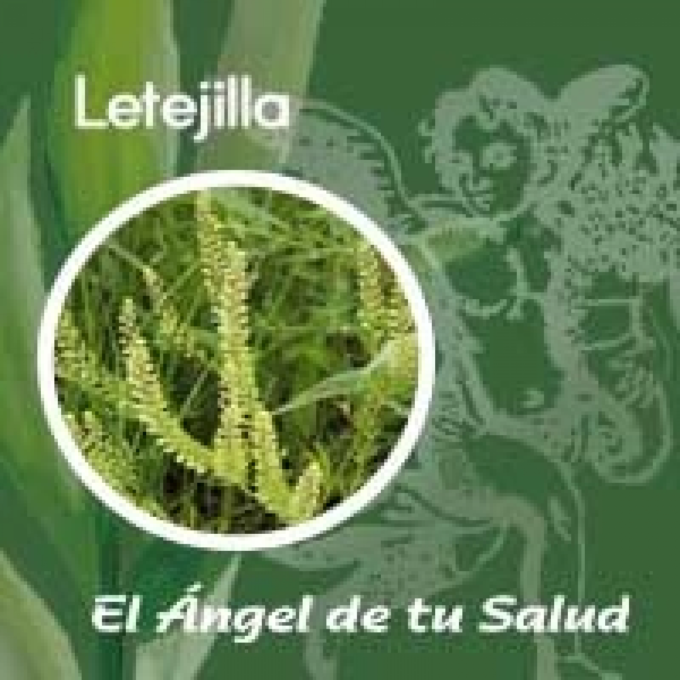 El Ángel de tu Salud - Lentejilla** episode artwork