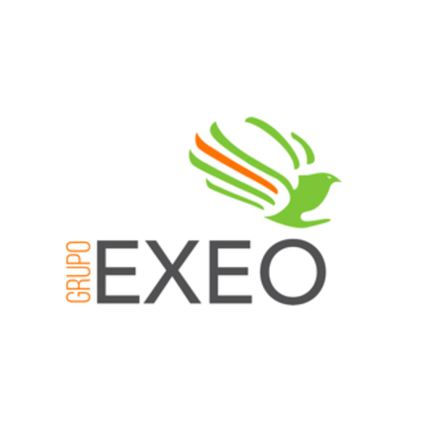 GRUPO EXEO