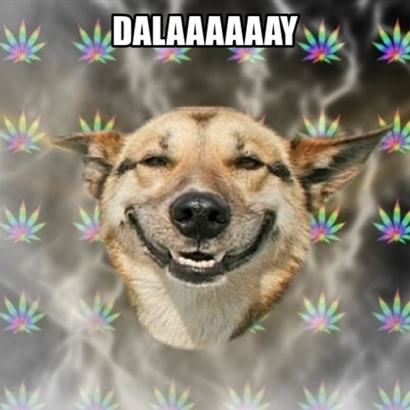 EL GLITCHCAST