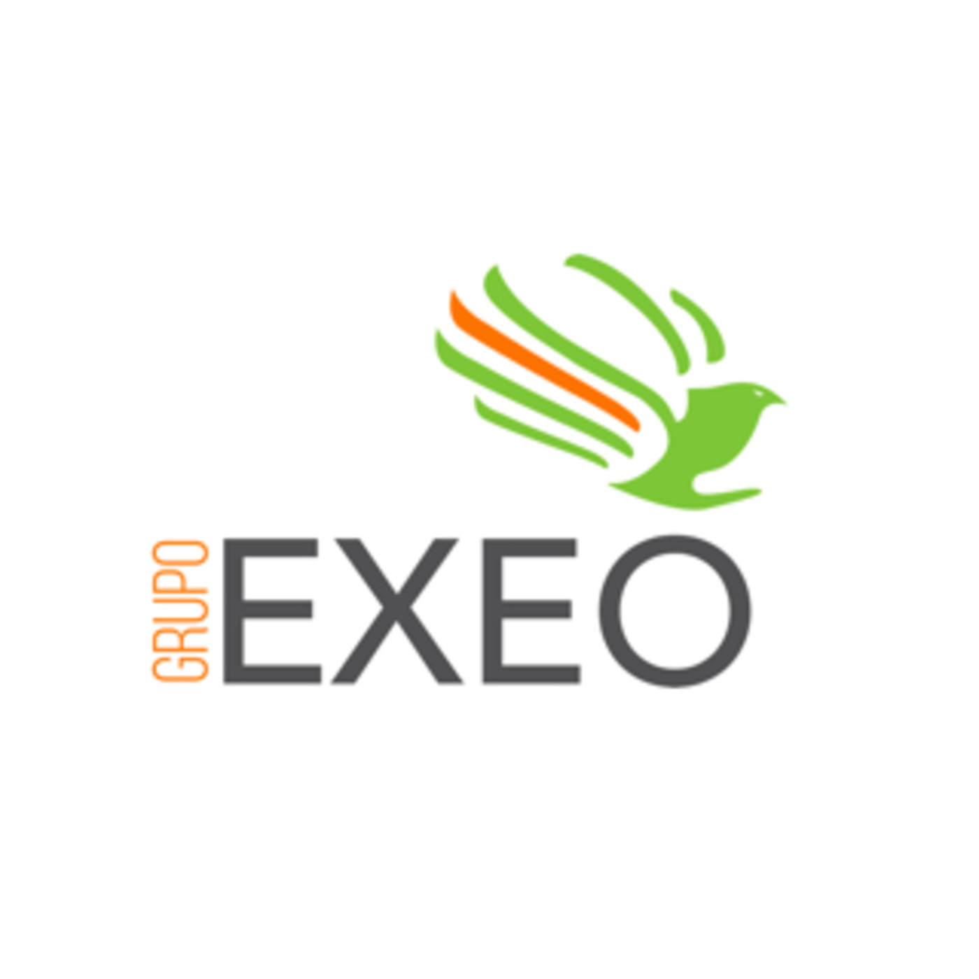 GRUPO EXEO