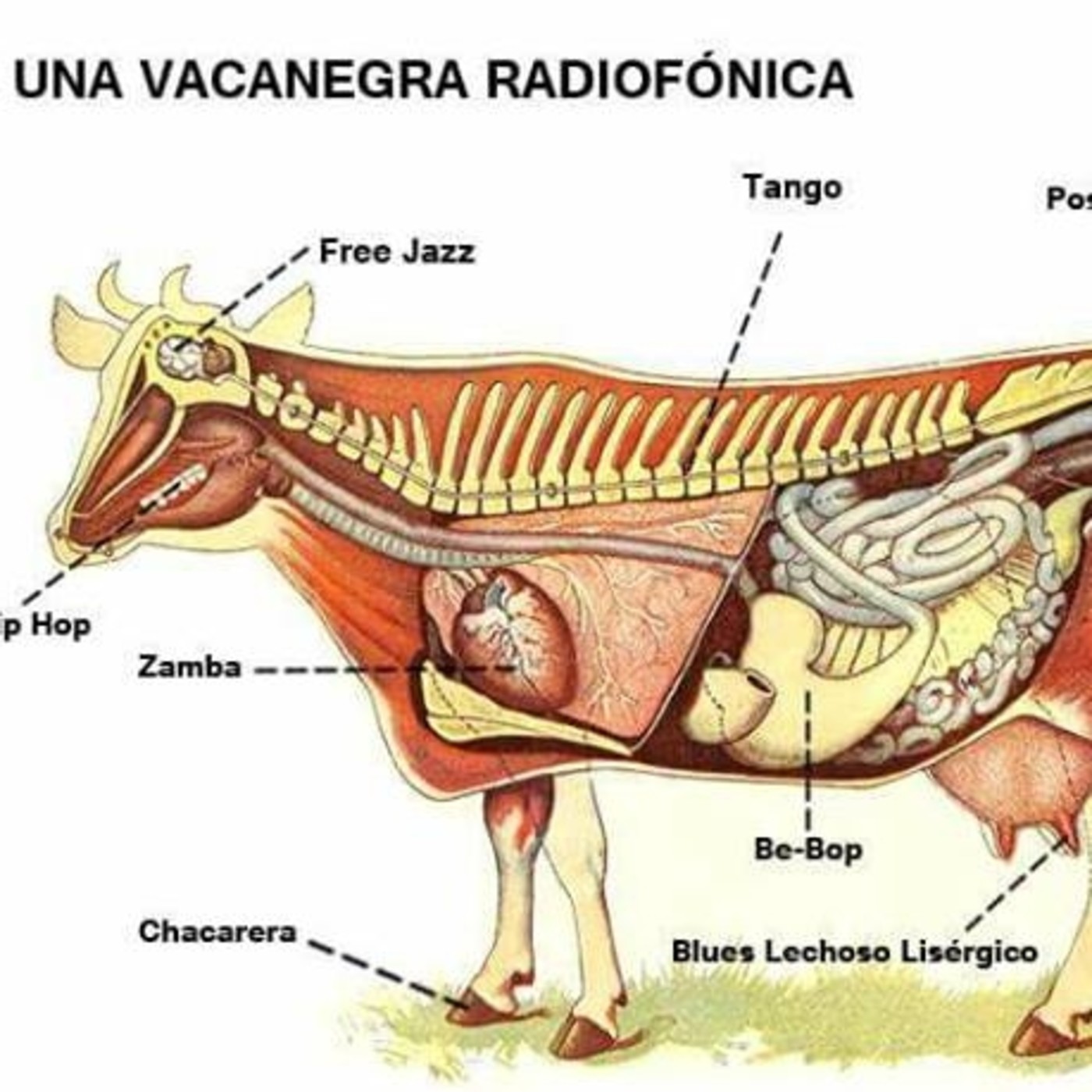 Vaca Negra