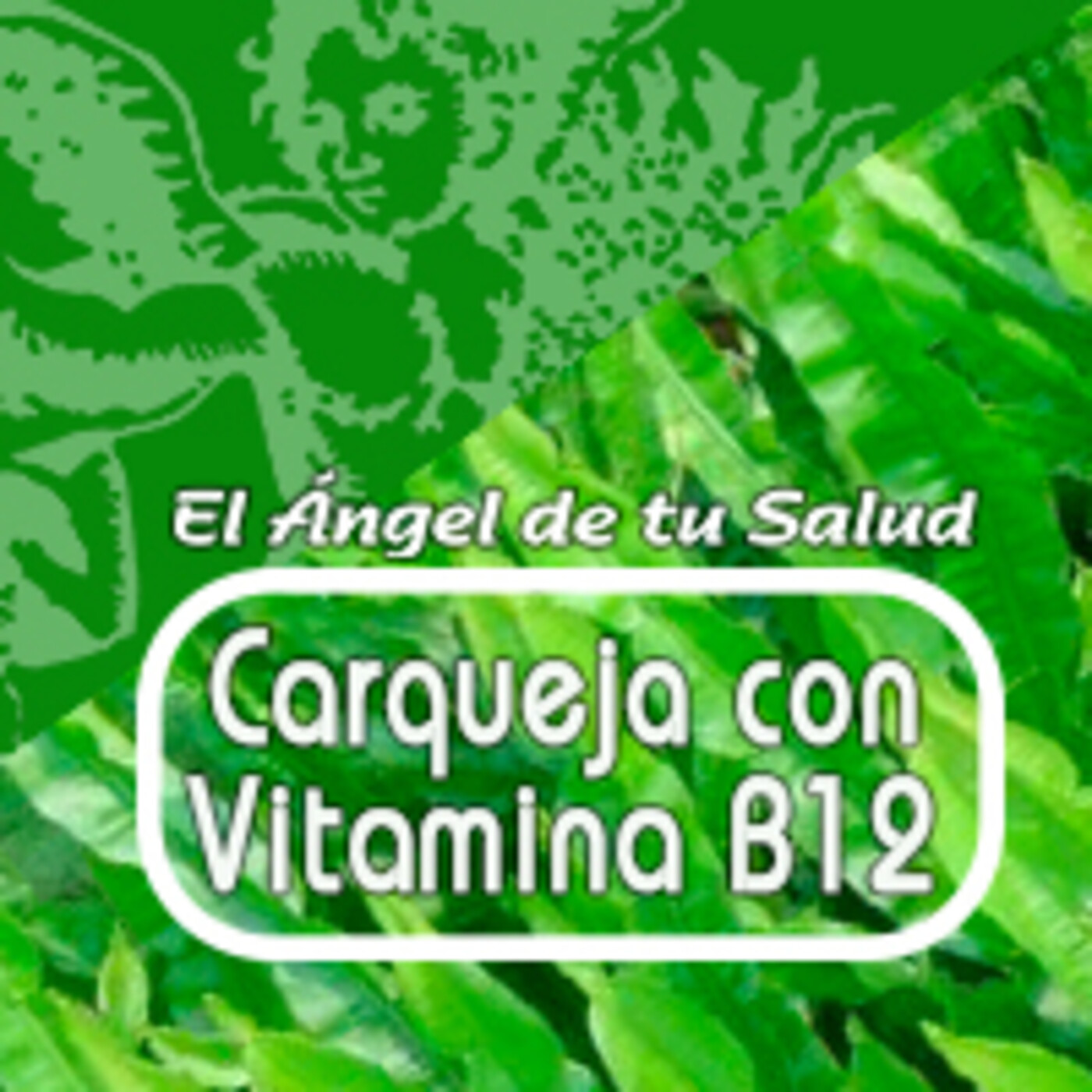 El Angel de tu Salud - CARQUEJA CON VITAMINA B12 episode artwork