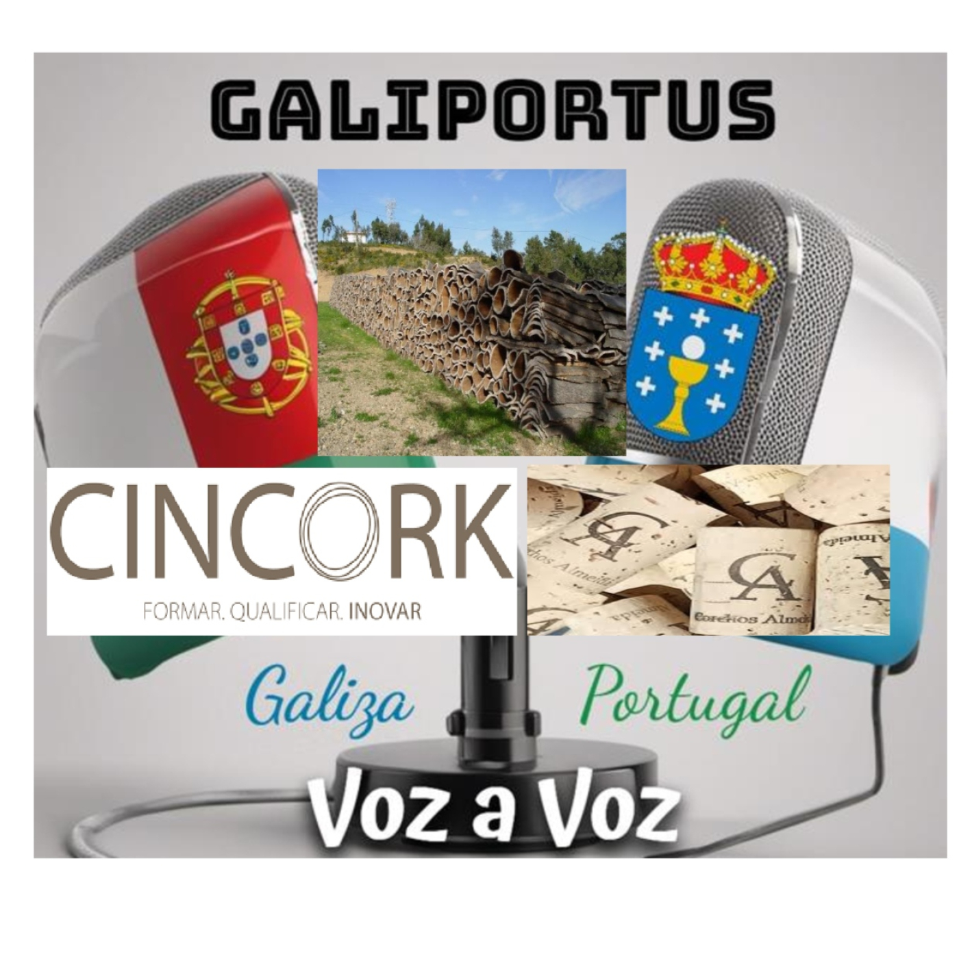 GALIPORTUS