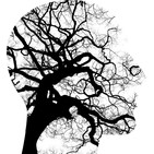 El cerebro humano (47)