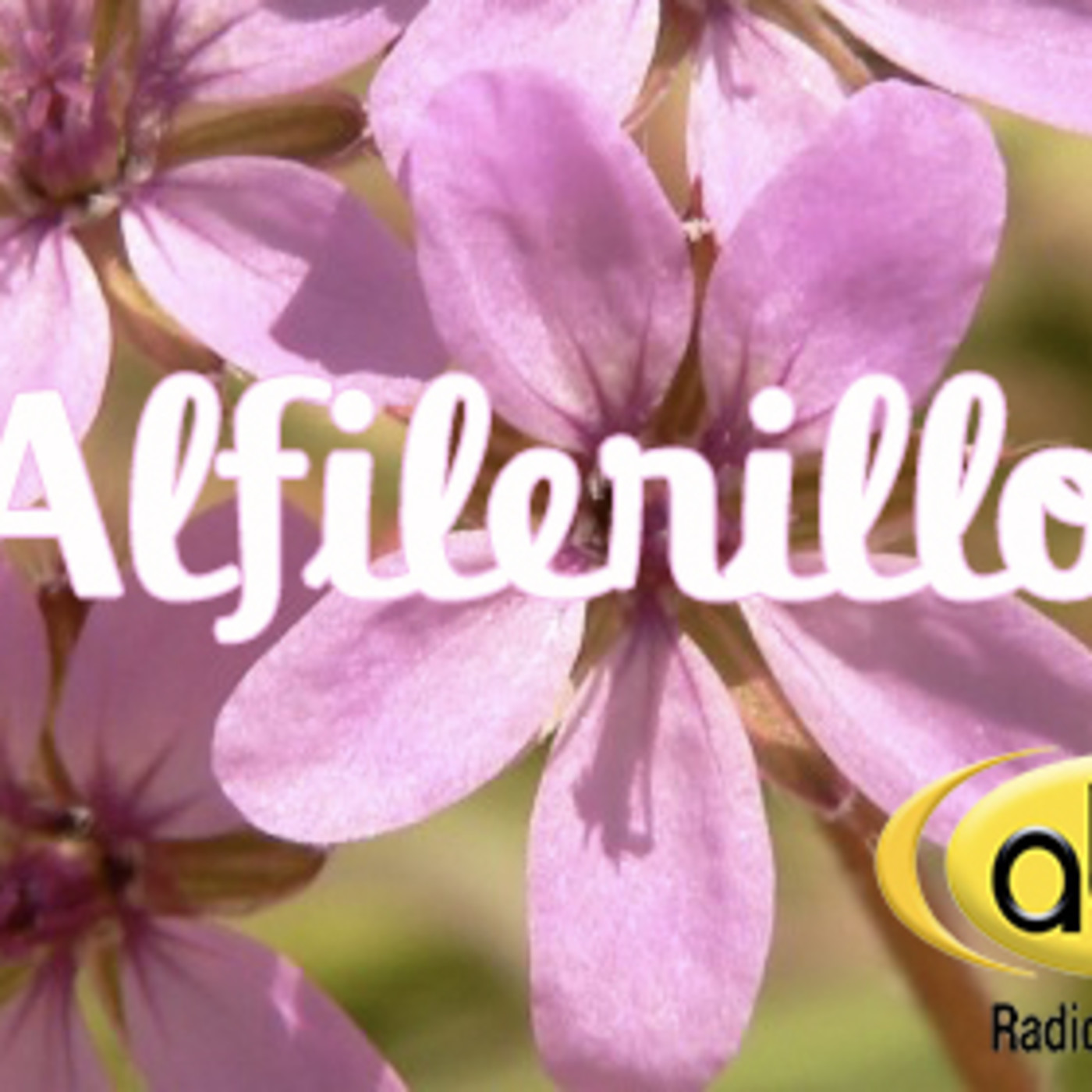 El Angel de tu Salud - ALFILERILLO episode artwork