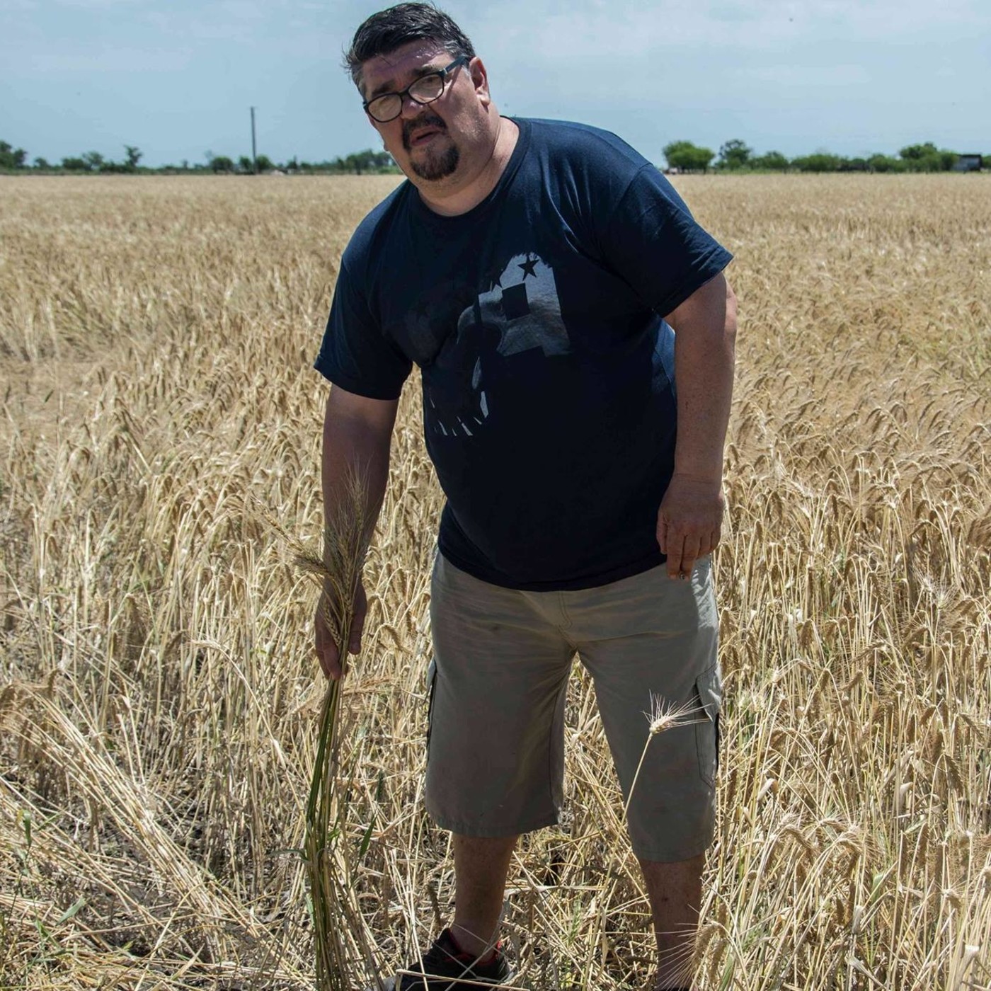INVESTIGADORES DE CAMPO OVNI UNIDOS (I.C.O.U)