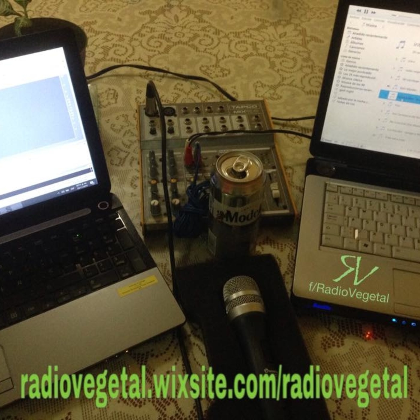 Barra de programas de Radiovegetal