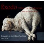 Exodo 2:15-22 - Moisés huye de Egipto - EXOS5