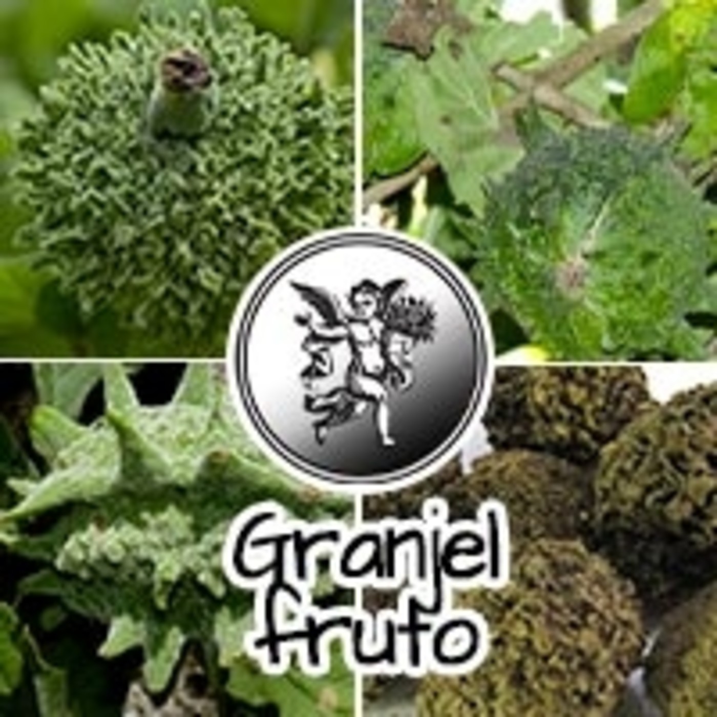 El Ángel de tu Salud - GRANJEL FRUTO* episode artwork
