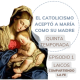 embed image