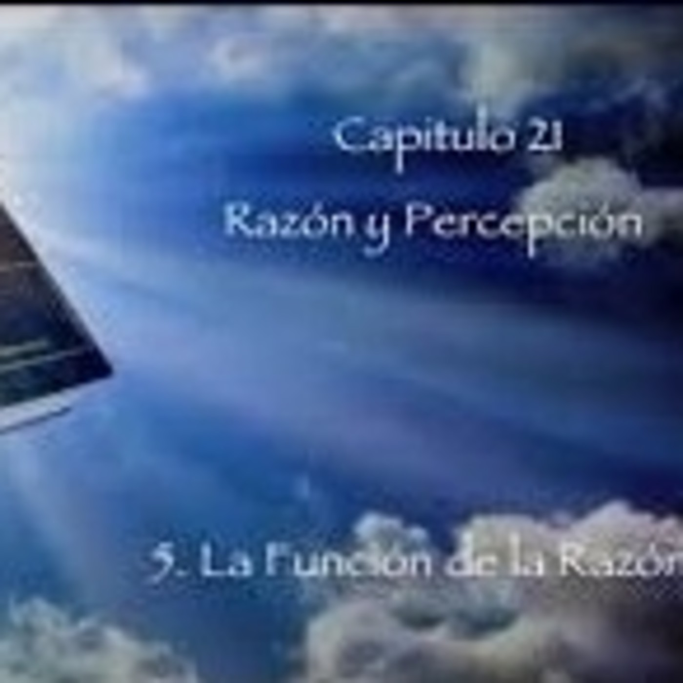 CAPÍTULO 21. RAZÓN Y PERCEPCIÓN Skype (2 de 4) episode artwork
