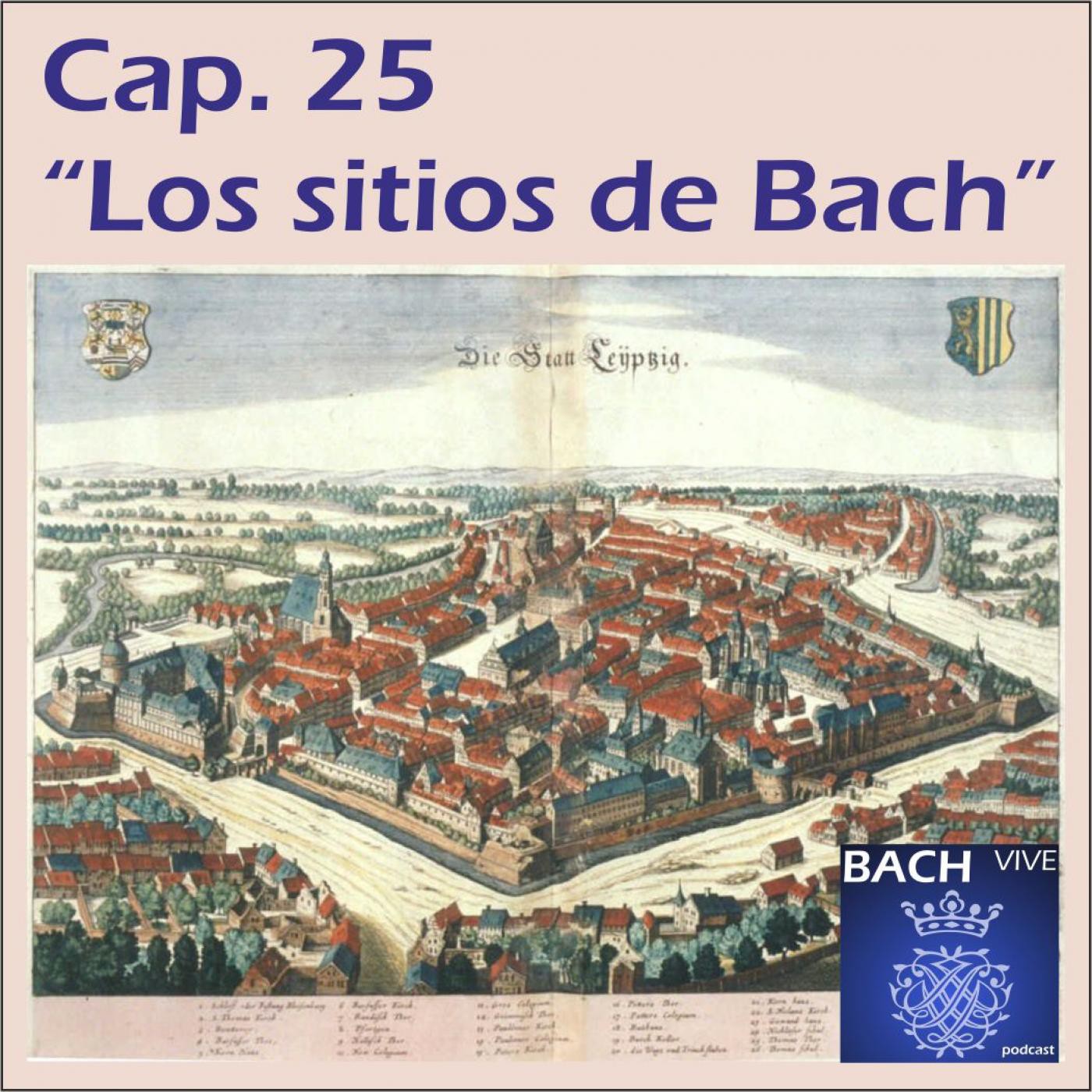 BACH vive