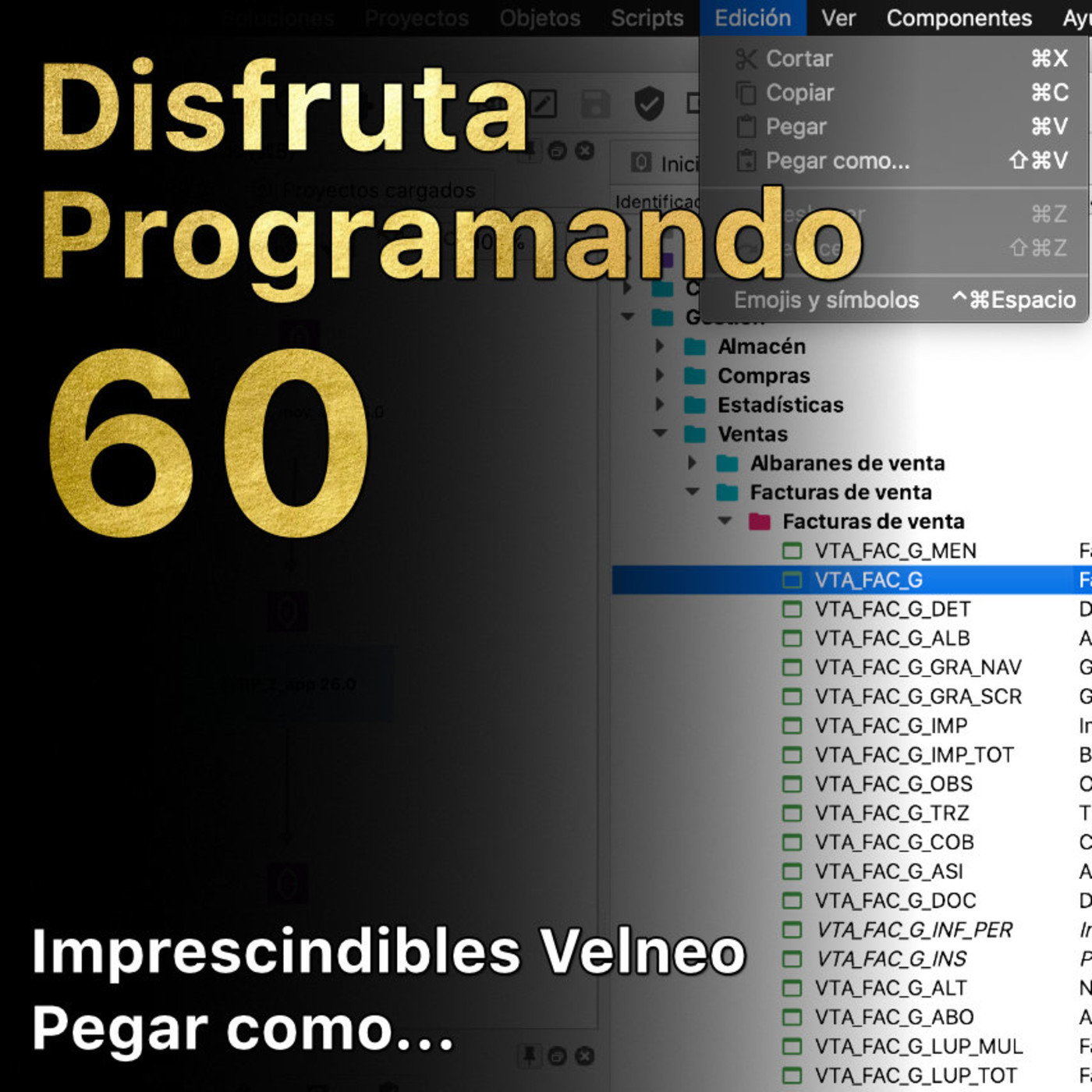 Disfruta Programando