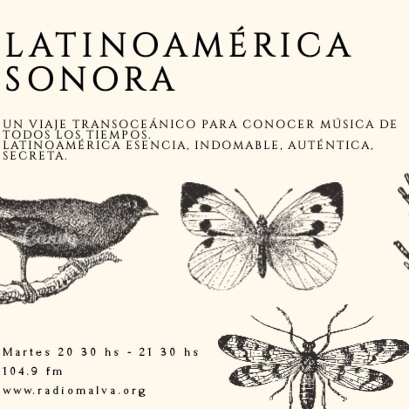 Latinoamérica Sonora Músicas del Mundo