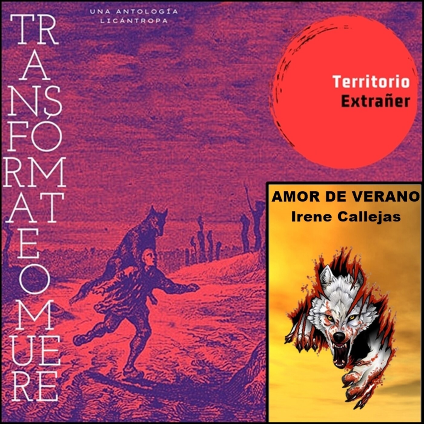 Territorio Extrañer
