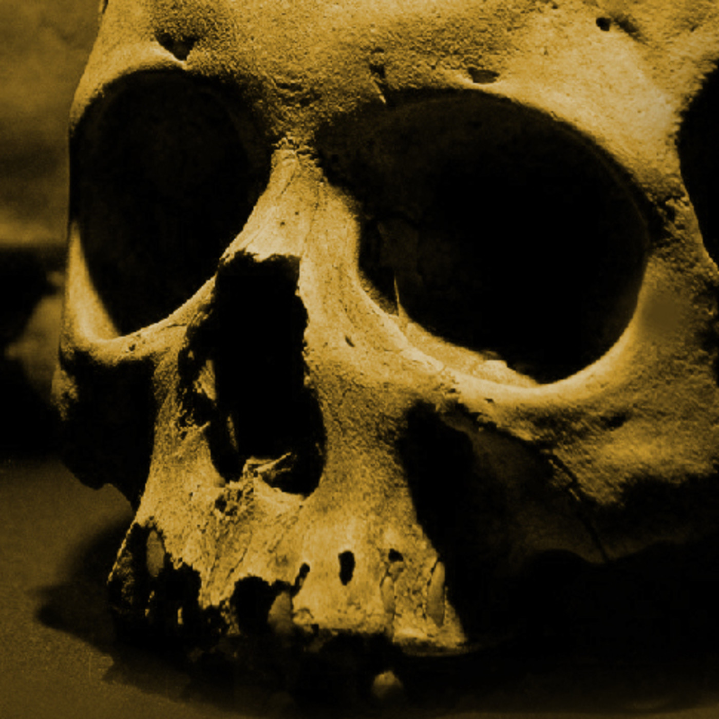 El Sueño de Andrómeda