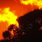Los incendios devastan la Comunidad de Madrid