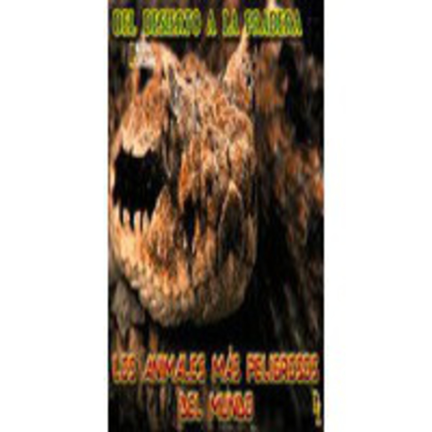 Audio-documentales
