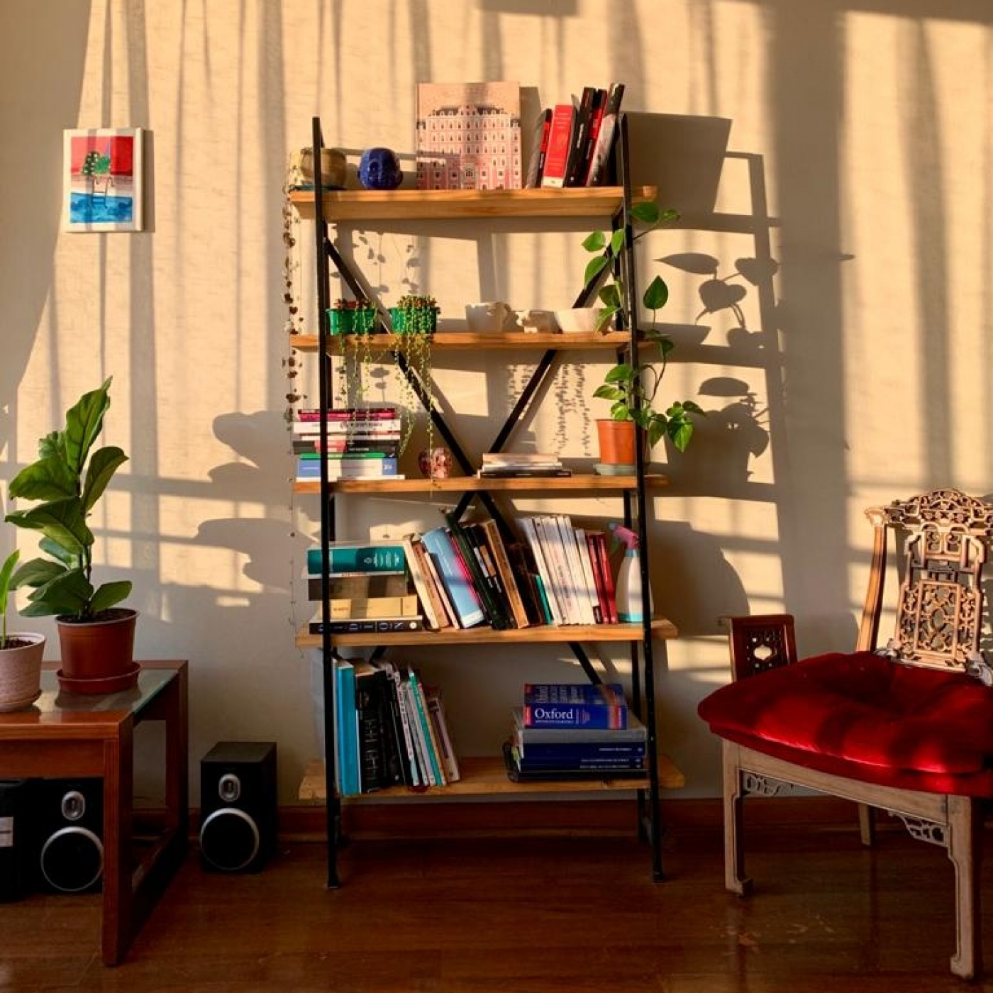 T8 #7: Me fui de la casa