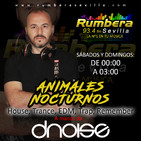 Animales nocturnos viernes 14 de junio de 2019