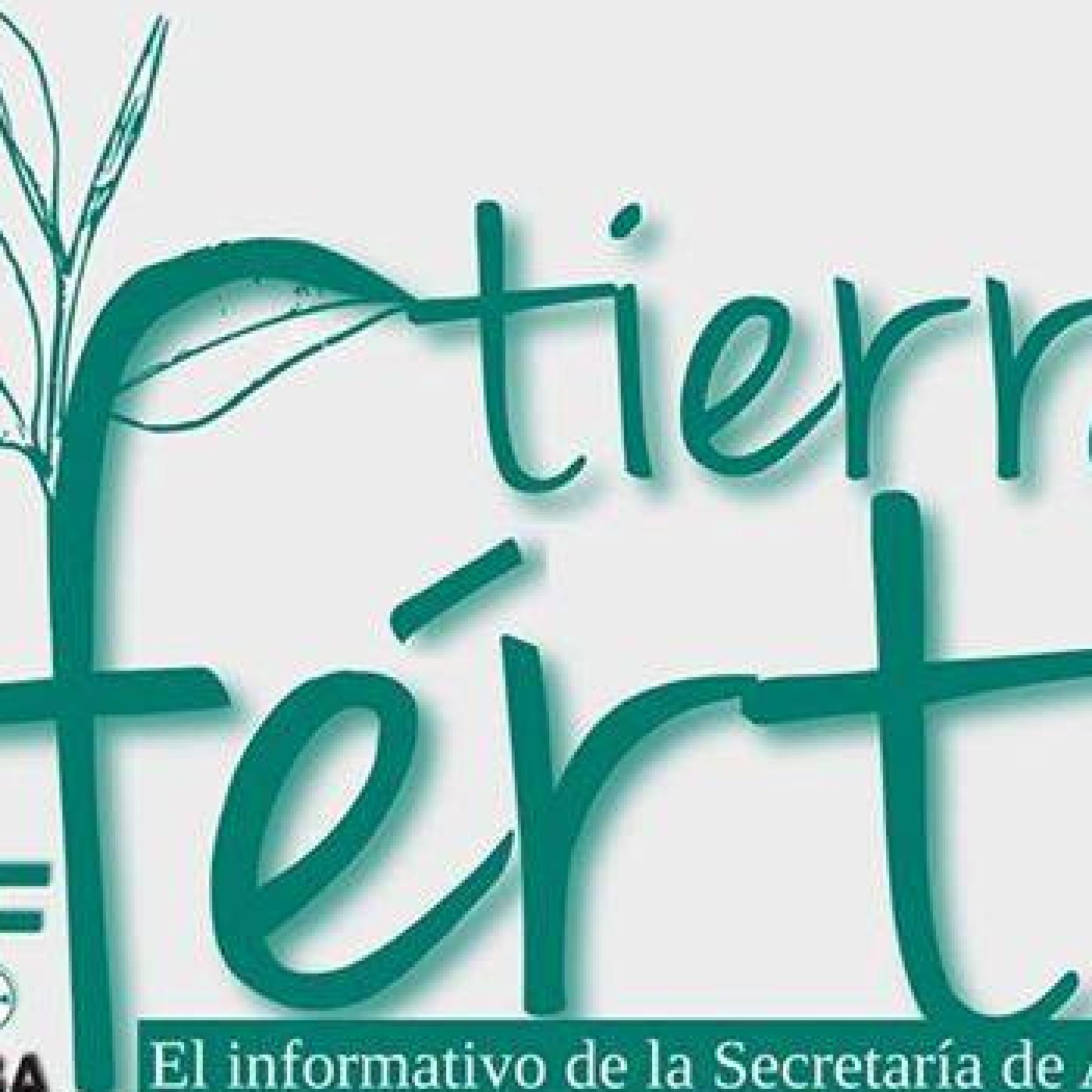 Taller de huerta en la escuela de Bajo Chico - TIERRA FERTIL 42 04-11-15 episode artwork