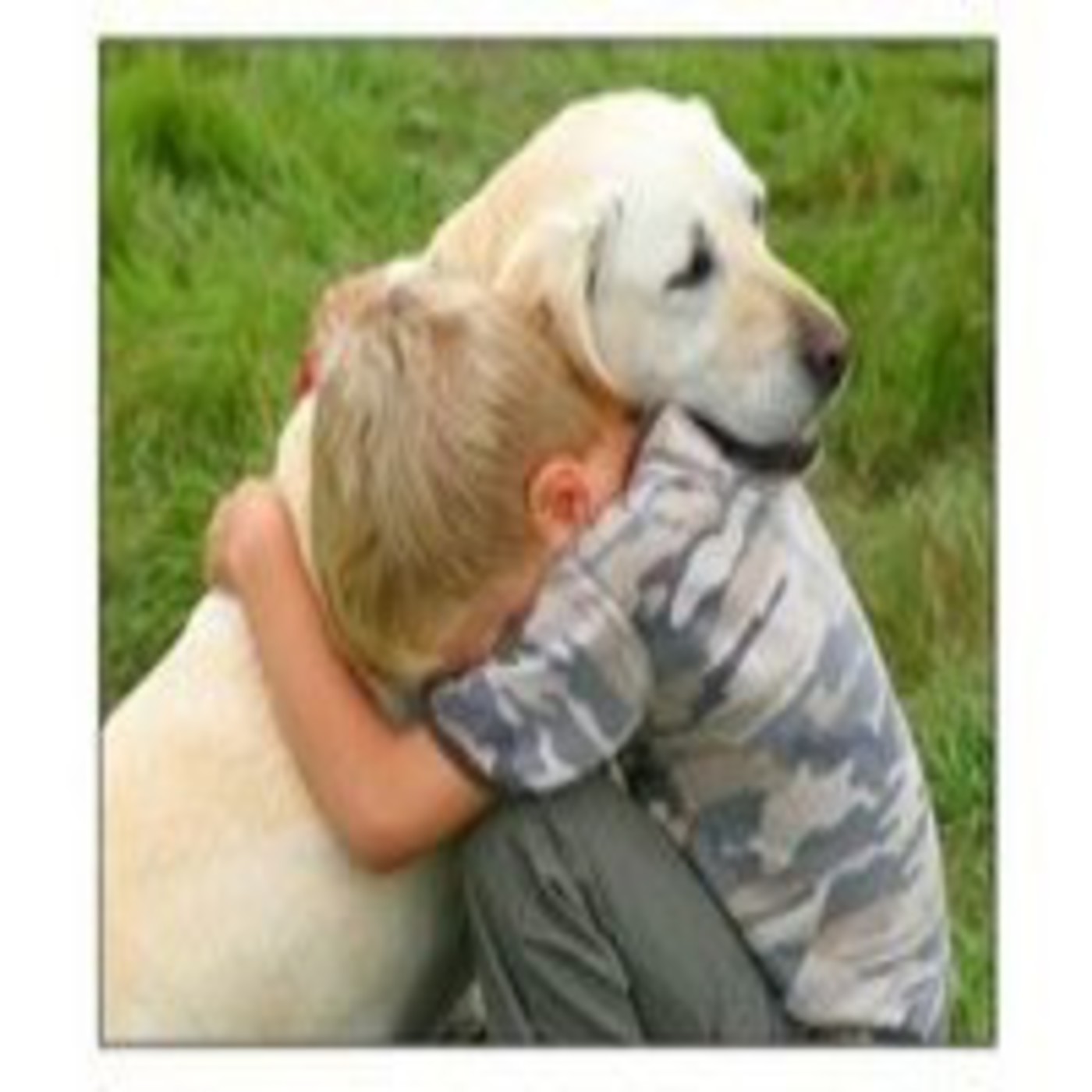 Perro, el mejor amigo del hombre
