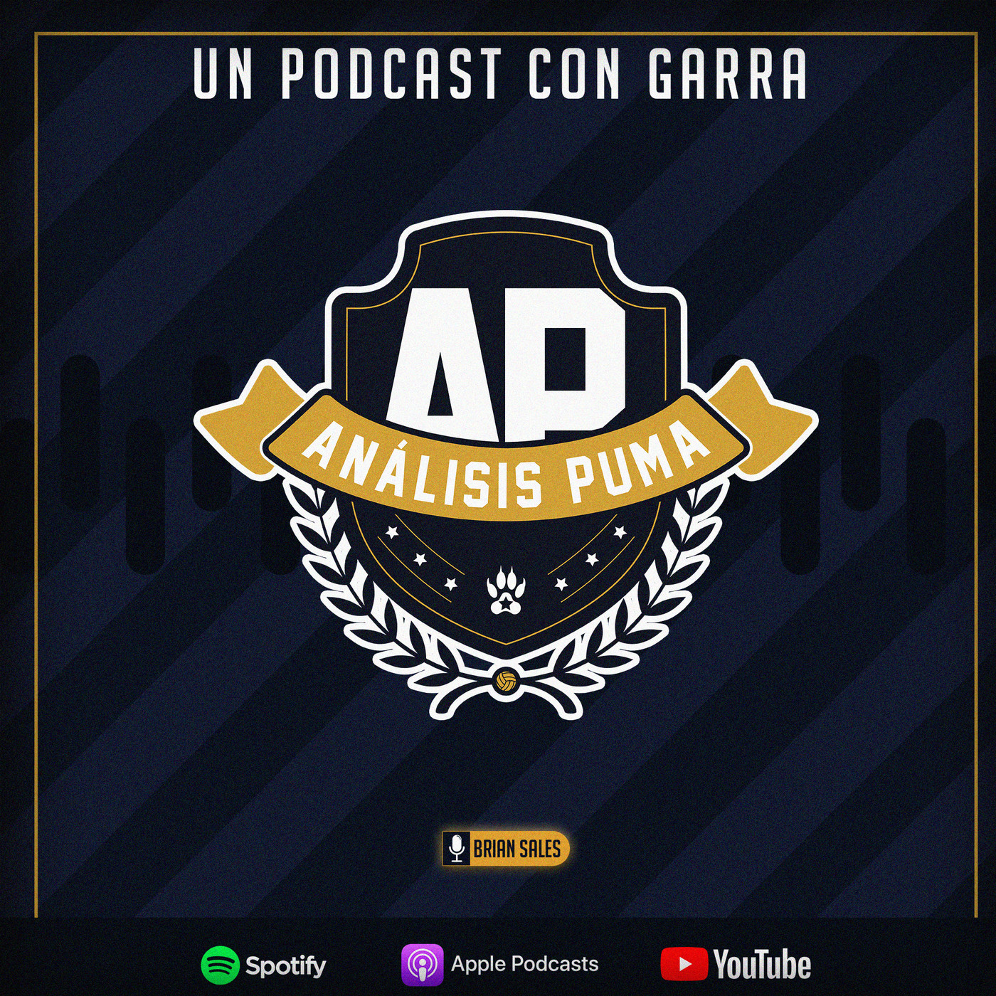 Análisis Puma