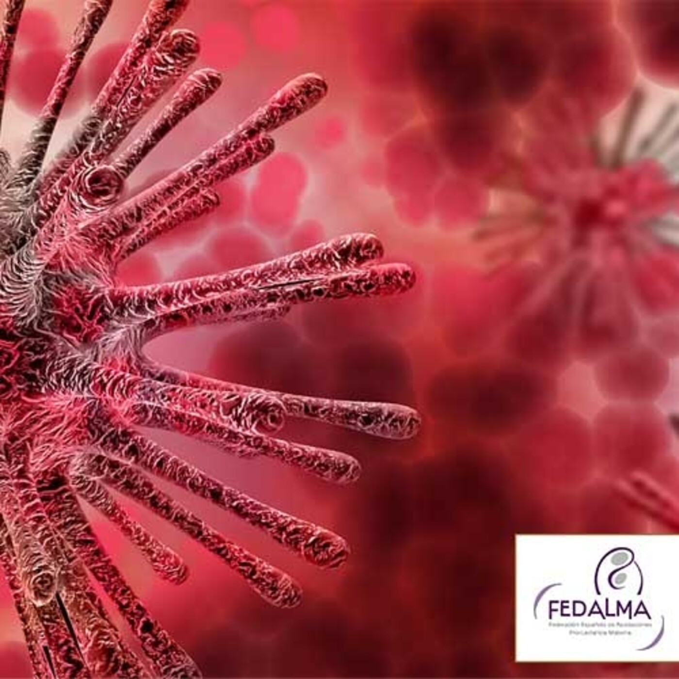 Hablemos de lactancia con FEDALMA