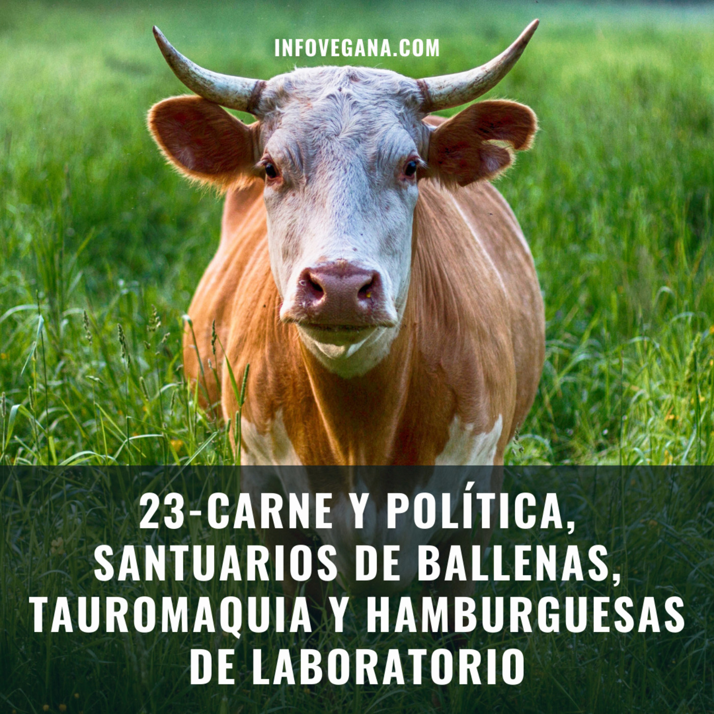 Infovegana, podcast de veganismo y sostenibilidad