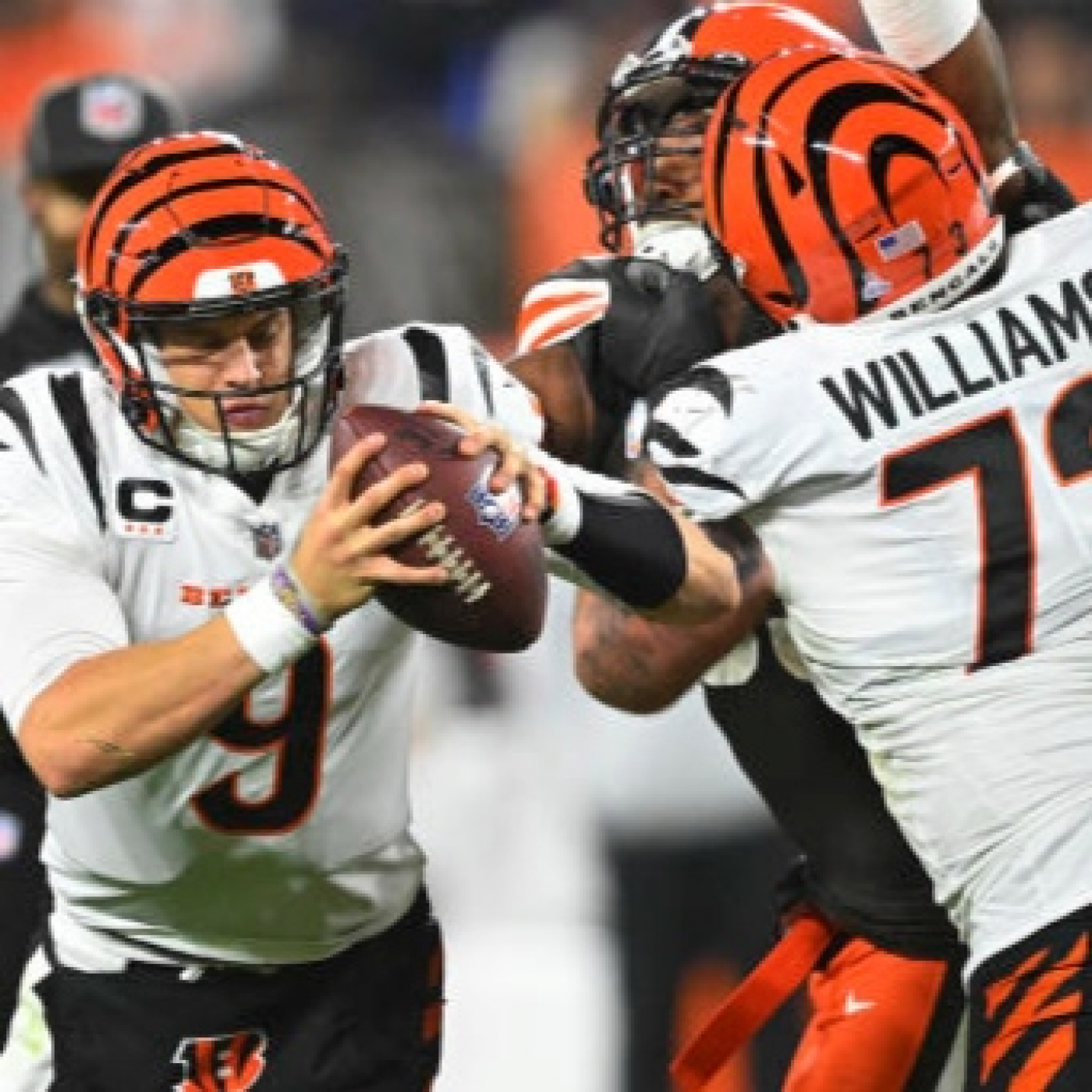 La Jungla Hispana - Bengals.es