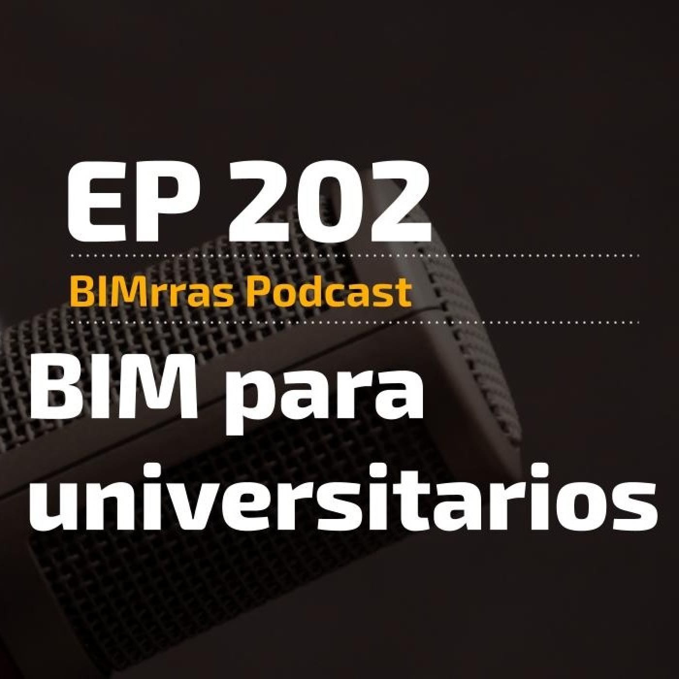 202 BIM para universitarios