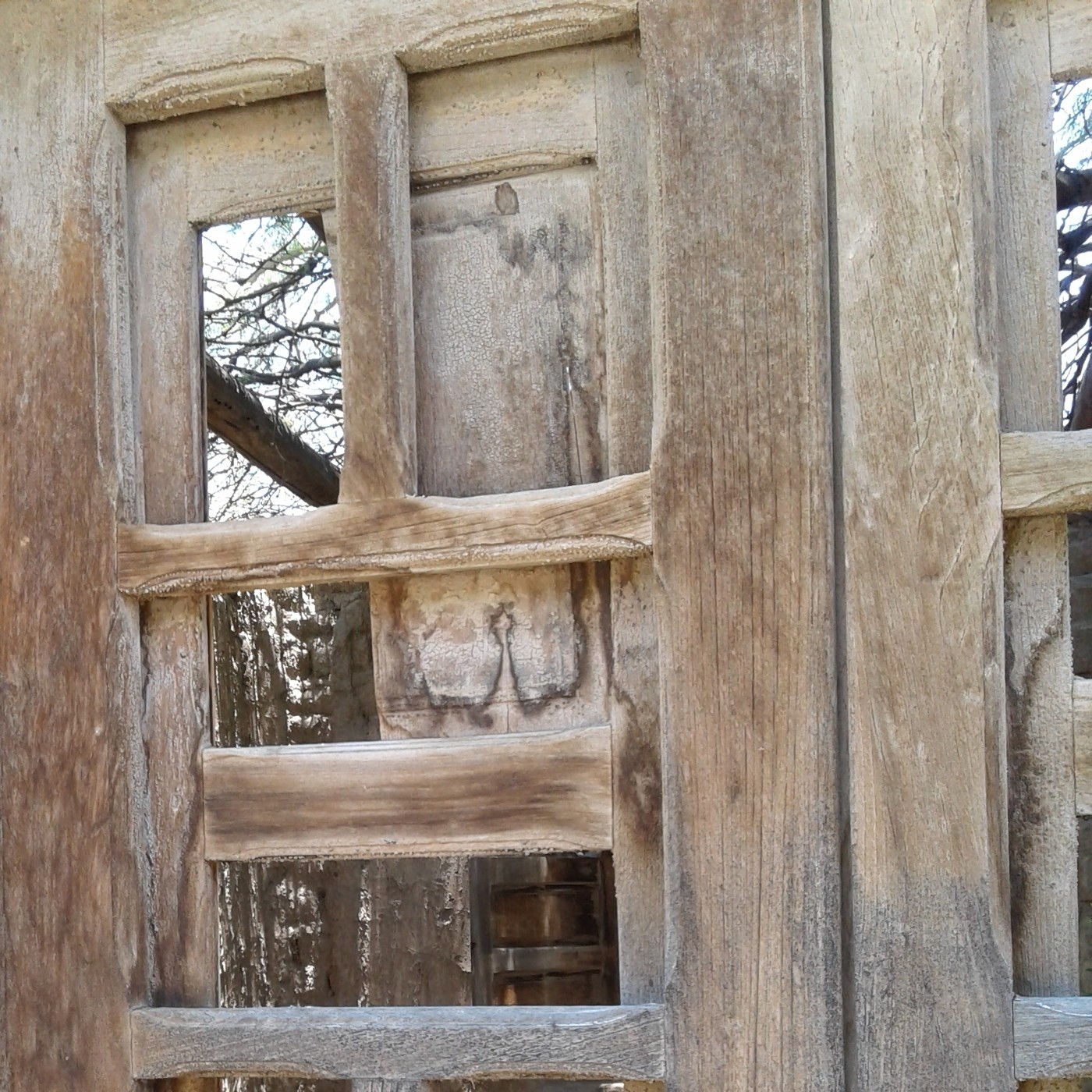 Puerto Almendro® - Canadá, University of Güelph