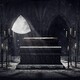 embed image