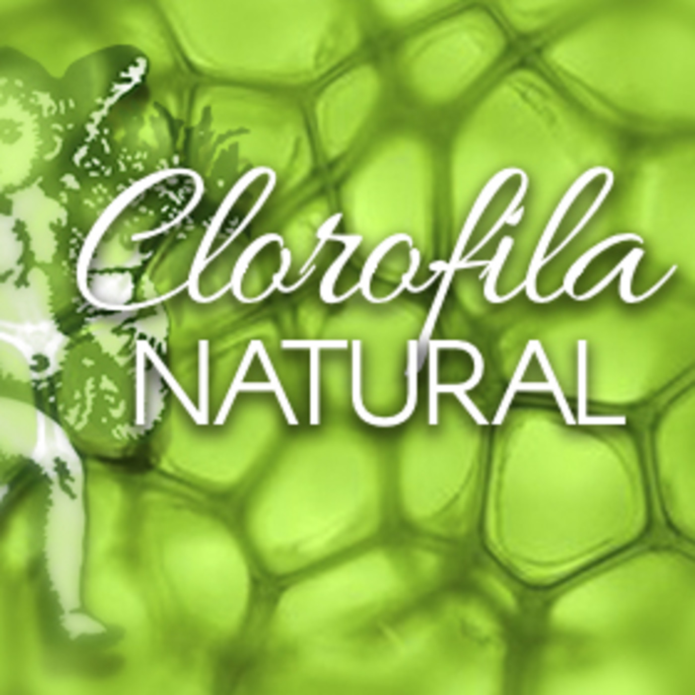 El Ángel de tu Salud - CLOROFILA NATURAL episode artwork