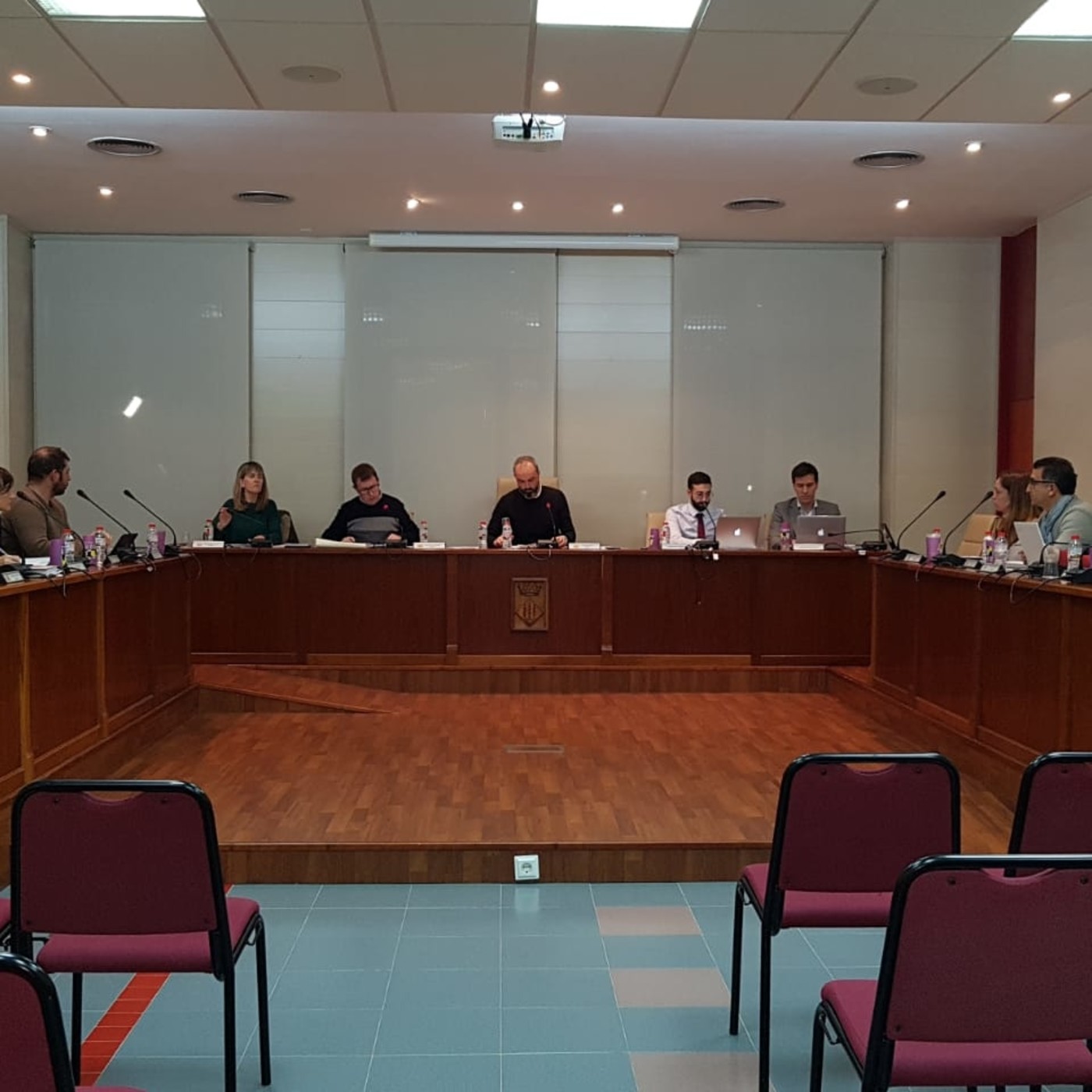 Plens municipals