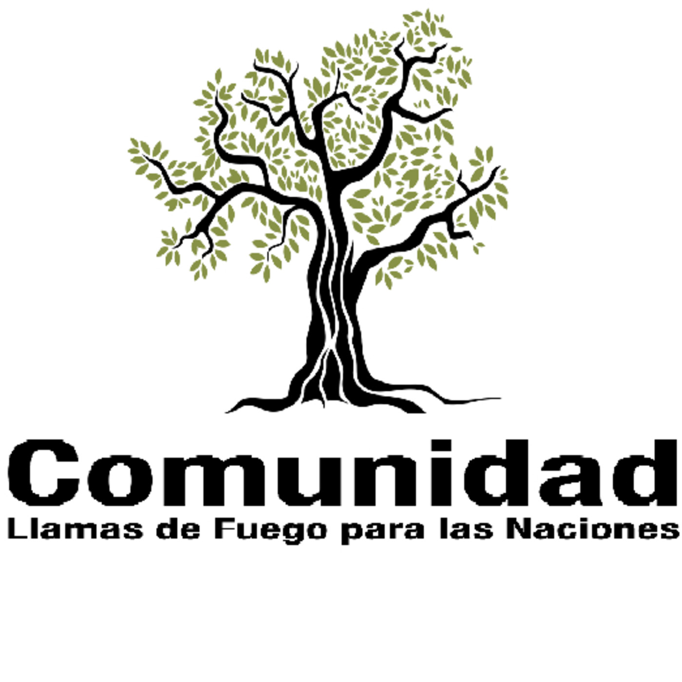 Estudios de la Parashat