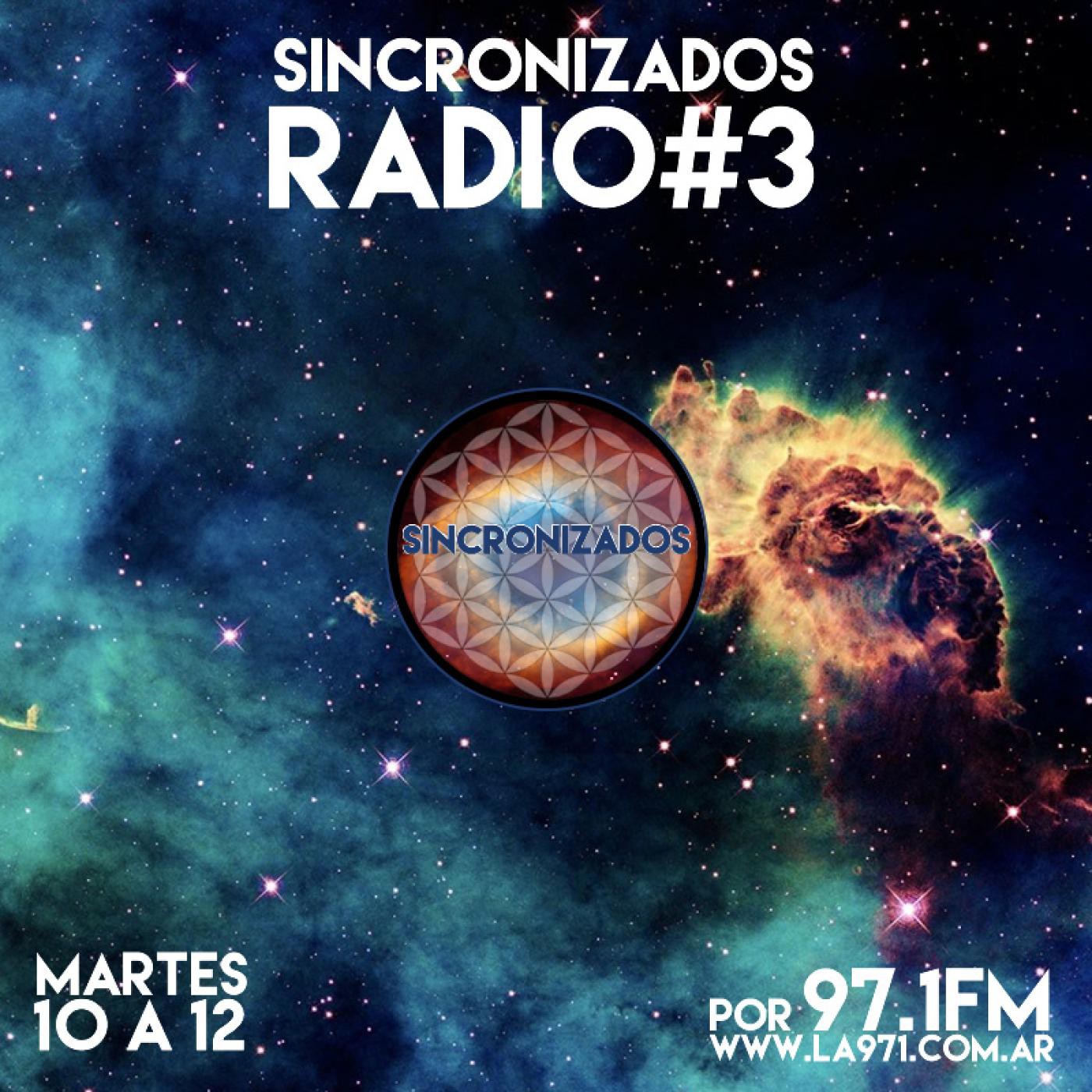 Sincronizados