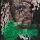 Canto 35°: La Saga de Vintersorg