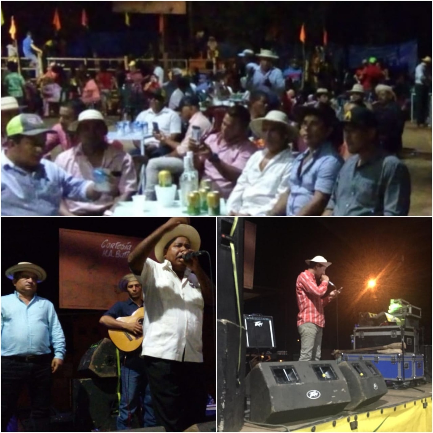 Desde las Tarimas