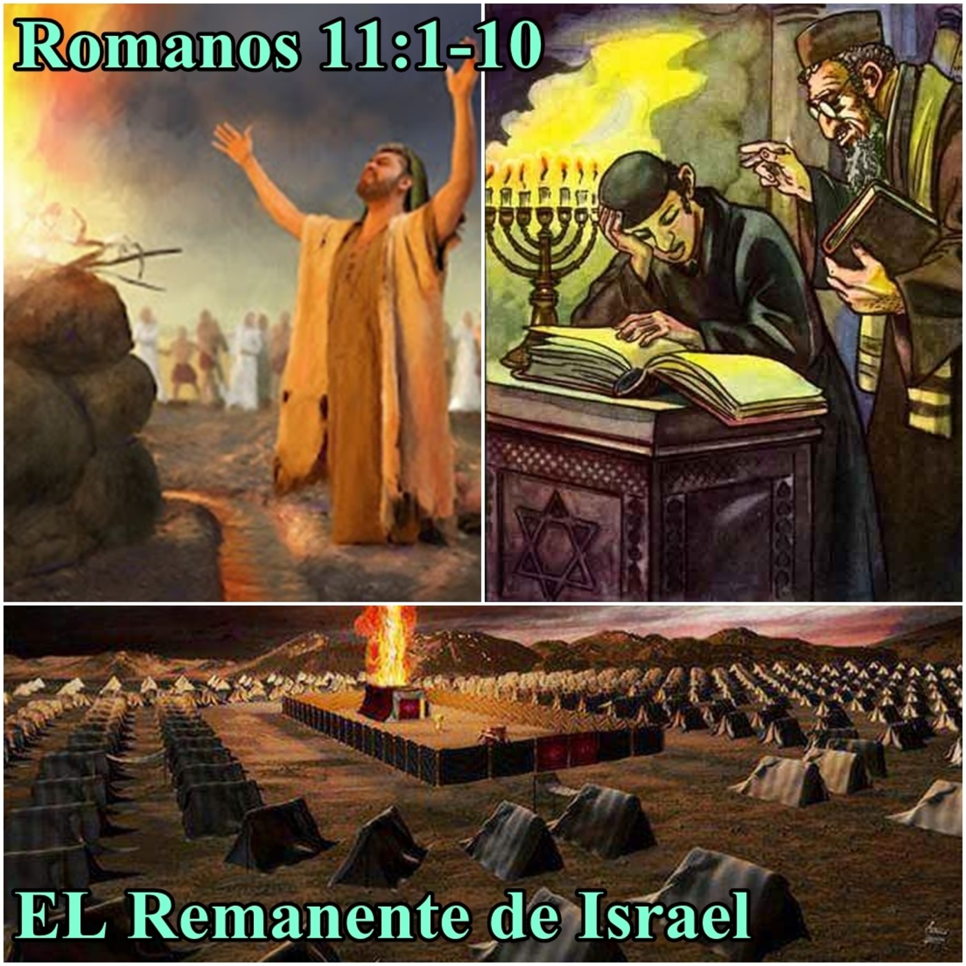 99-Romanos P.V.E