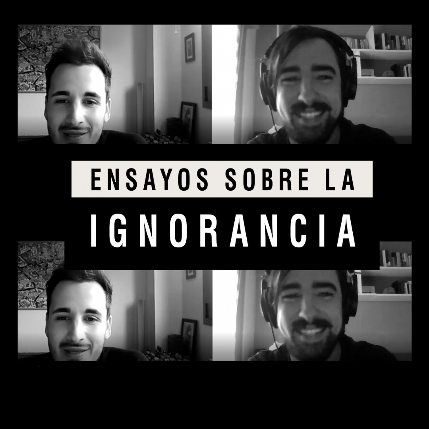 Ensayos sobre la ignorancia